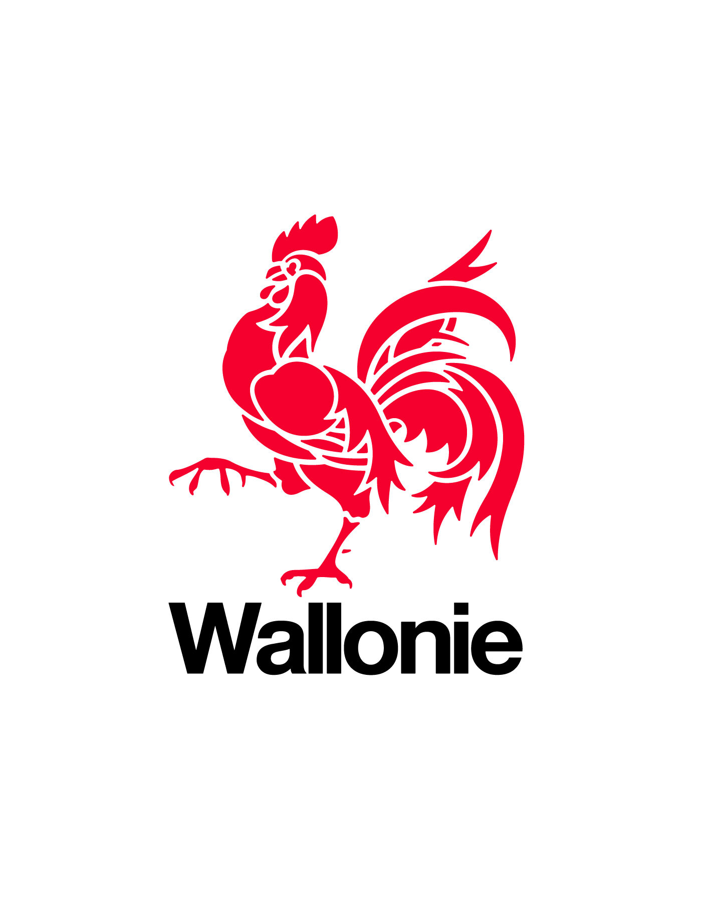 Wallonie v